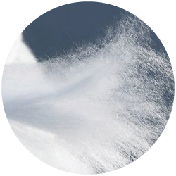 Germany Imported Ultra Fibre