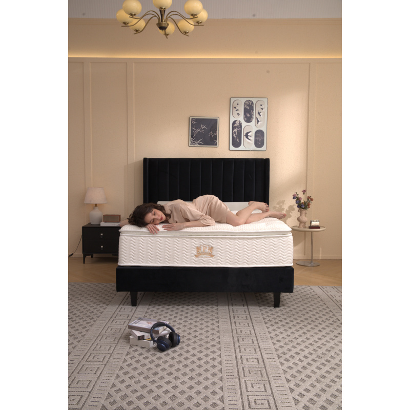 02-_1265_1265_839461929