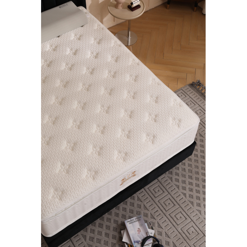 02-_1266_1266_1460535645