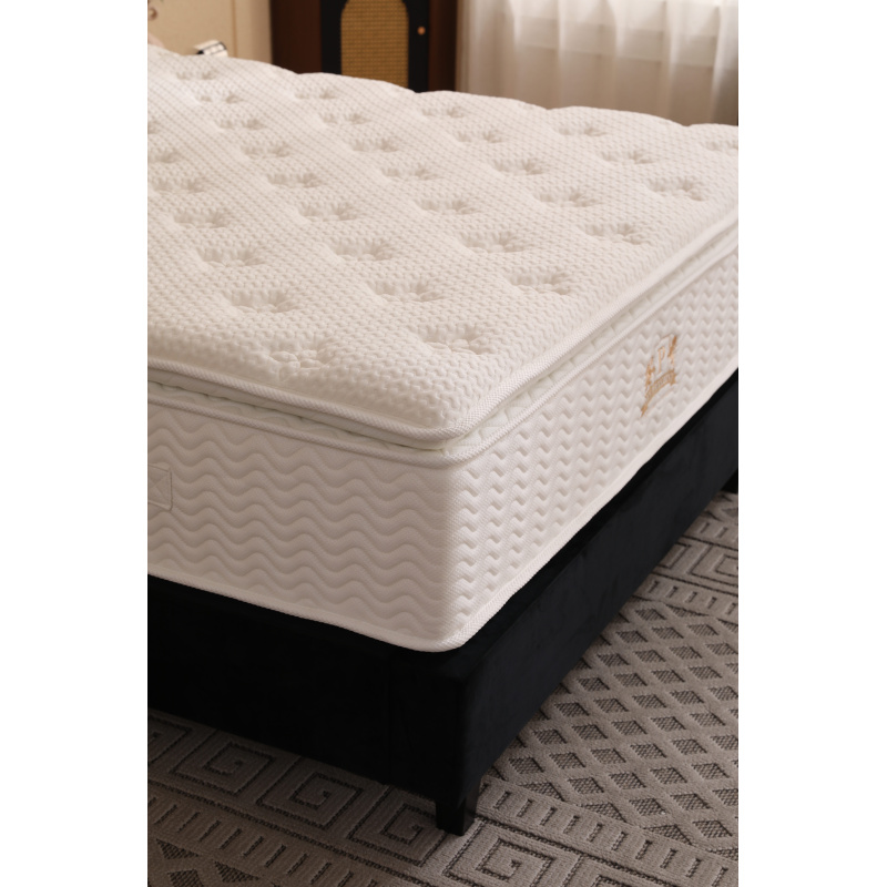 02_1205_1205_334614902