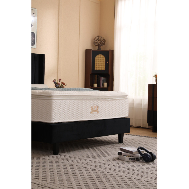 02_1206_1206_248846023