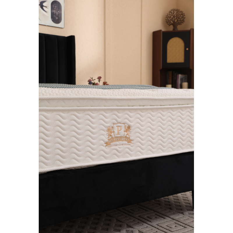 02_1216_1216_1447476539