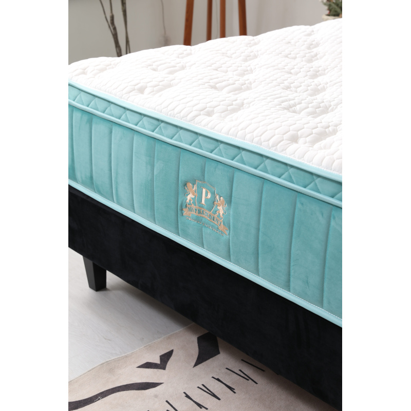 04_1369_1369_1839826354