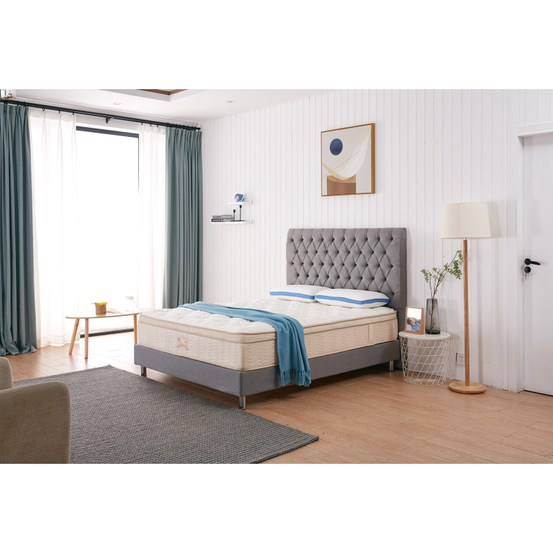 117395231_579567966051490_6860404529405806551_n