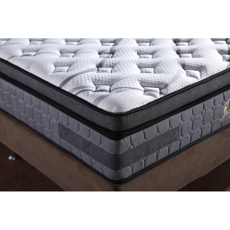 450310210_1386330865375192_2257878367994110960_n